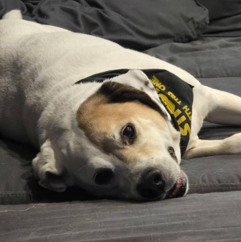 Meet your Posher, Kristen